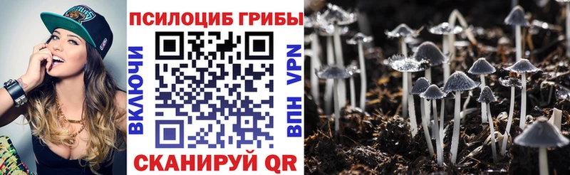 Галлюциногенные грибы MAGIC MUSHROOMS Ессентуки