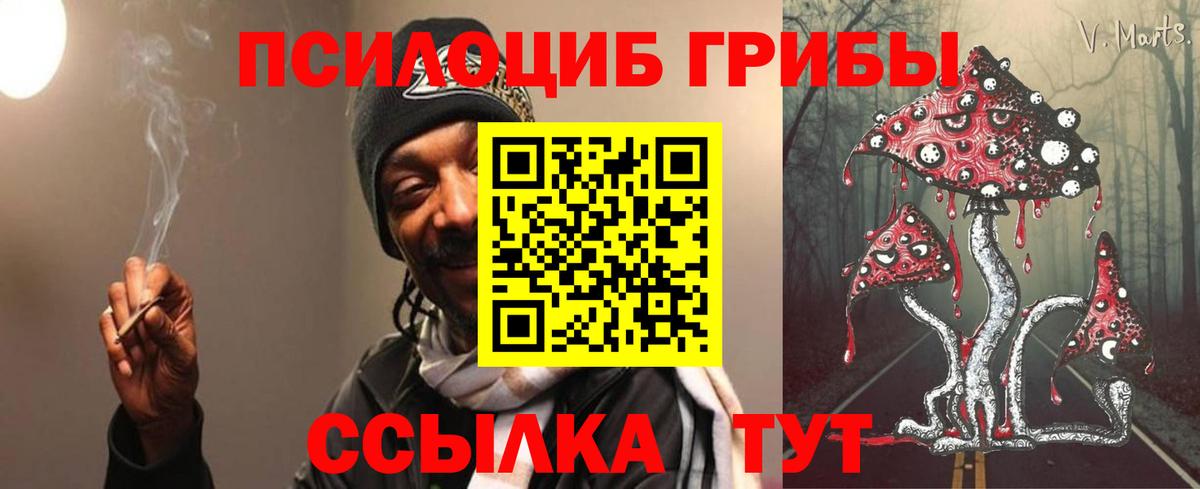Галлюциногенные грибы прущие грибы  Вход с VPN  Ессентуки  купить   Галлюциногенные грибы ЛСД 