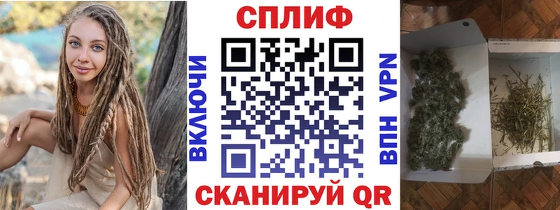 купить наркотики сайты  Ессентуки  Конопля гибрид 